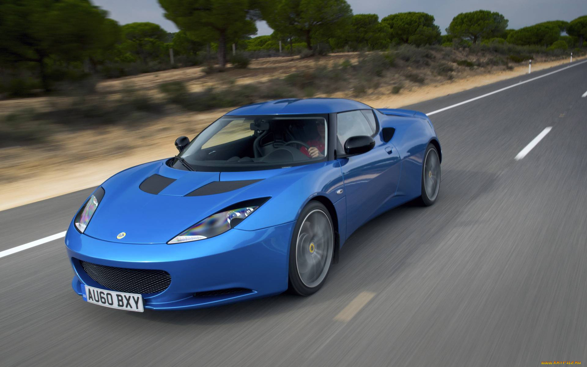 , lotus